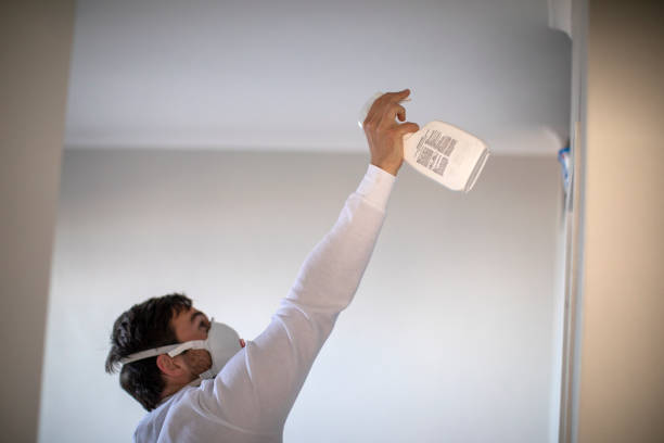 Best Preventive Mold Services in West Point, GA